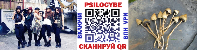 Псилоцибиновые грибы ЛСД  купить   Онега 