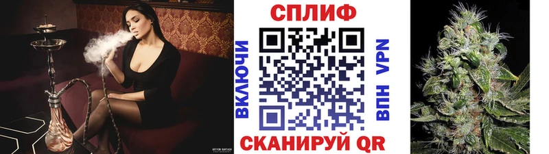 Бошки Шишки конопля  даркнет сайт  Онега 